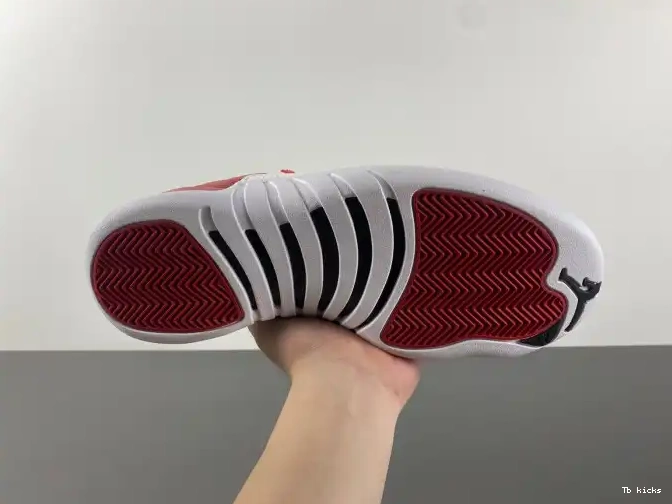 Cheap TBK Air Jordan 12 Alternate 130690-600 0520